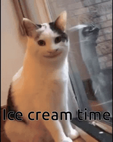 Bella When She Gets Ice Cream For Dinner Ice Cream Time GIF - Bella When She Gets Ice Cream For Dinner Ice Cream Time Polite Cat GIFs
