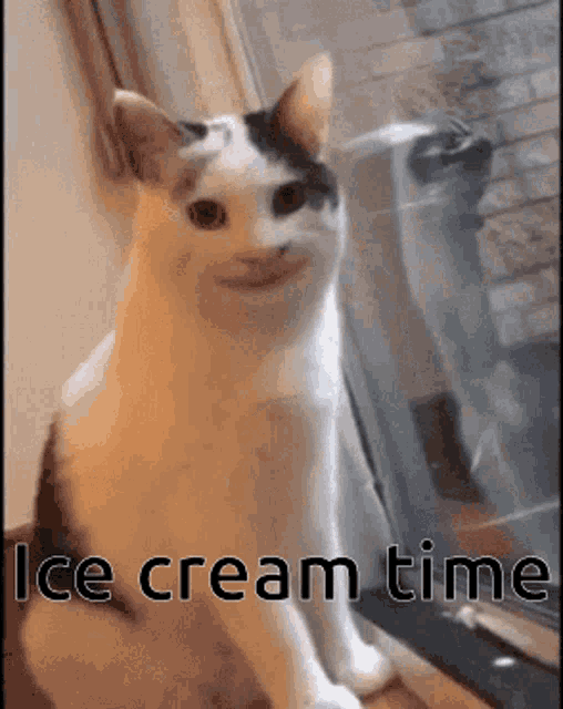 a cat is sitting in front of a window with the words `` ice cream time '' written below it .