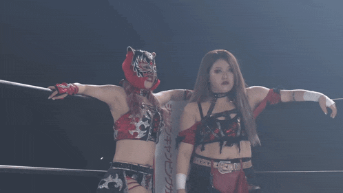 two women in a wrestling ring with one wearing a mask that says tiger on it