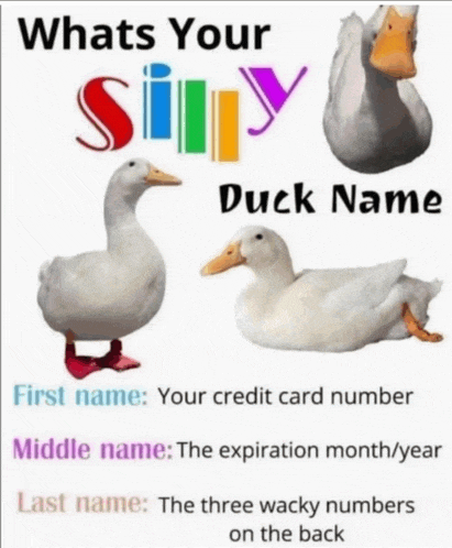 whats your silly duck name with a picture of a duck