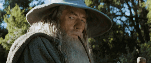 Gandalf Ian Mckellen GIF - Gandalf Ian Mckellen Lord Of The Rings GIFs