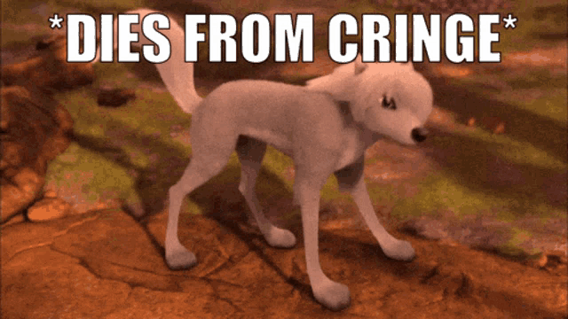 a picture of a white dog with the words dies from cringe above it