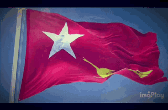 a red flag with a white star and a gold bird on it