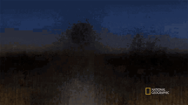 a drawing of a man standing in a field with the words national geographic on the bottom