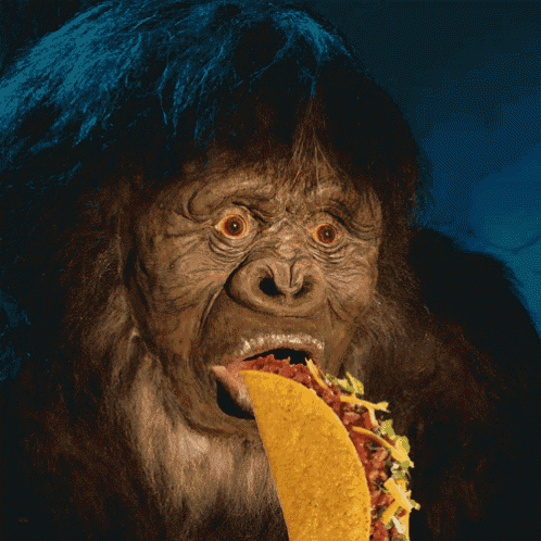 Yum GIF - Bigfoot Sasquatch Taco GIFs