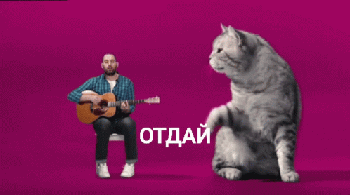 отдай Cat GIF - отдай Cat Singing GIFs