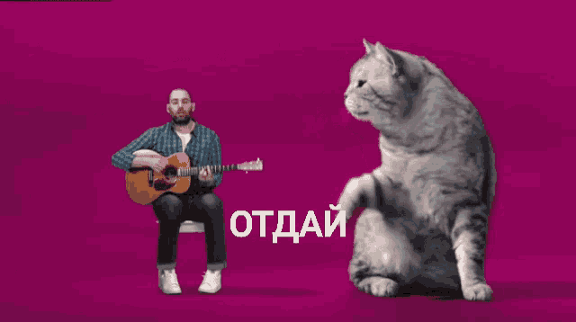 a man playing a guitar next to a cat with the word " отдай " on the bottom