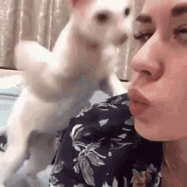a woman is kissing a white cat on the cheek while it stands on its hind legs .