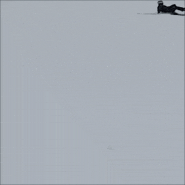 Wow Ski GIF - Wow Ski Fall GIFs