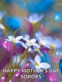 a picture of flowers with the words `` happy mother 's day sorors '' on it