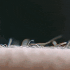 a close up of a person 's arm with a lot of hair .