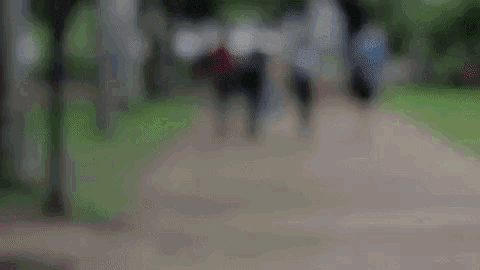 a blurry picture of people walking down a path in a park
