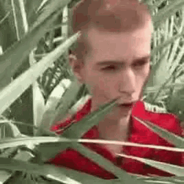 a man in a red shirt is standing in the jungle behind a palm tree .