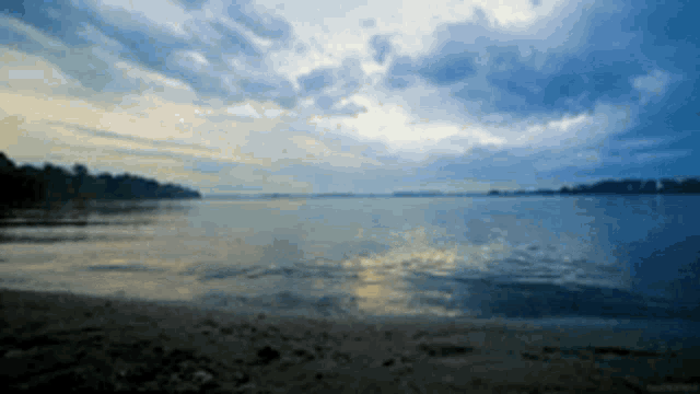 a large body of water with trees in the distance
