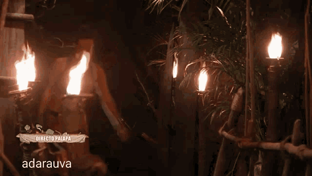 a woman in a bikini is holding a torch in front of a directo palapa banner