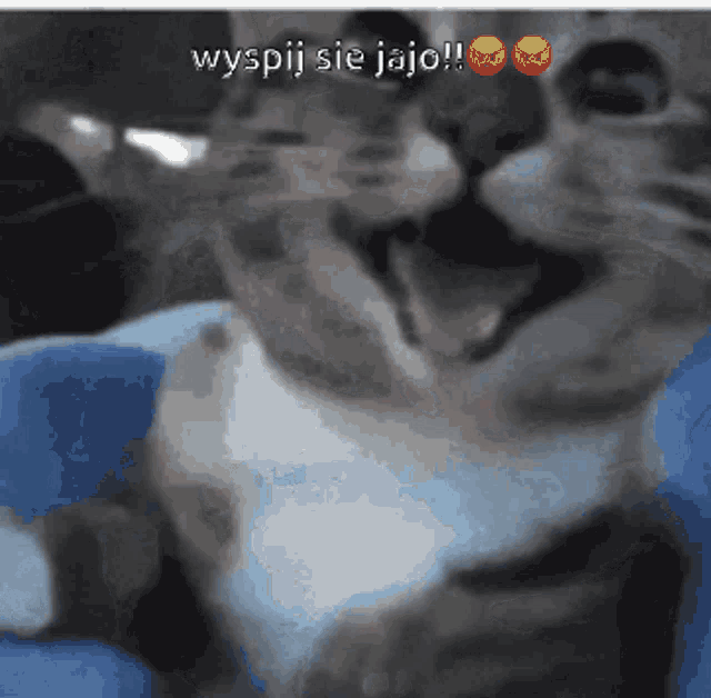 a blurry picture of a cat with the words wyspij sie jajo on the bottom