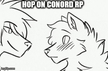 a black and white drawing of a wolf with the words `` hop on conord rp '' written above it .