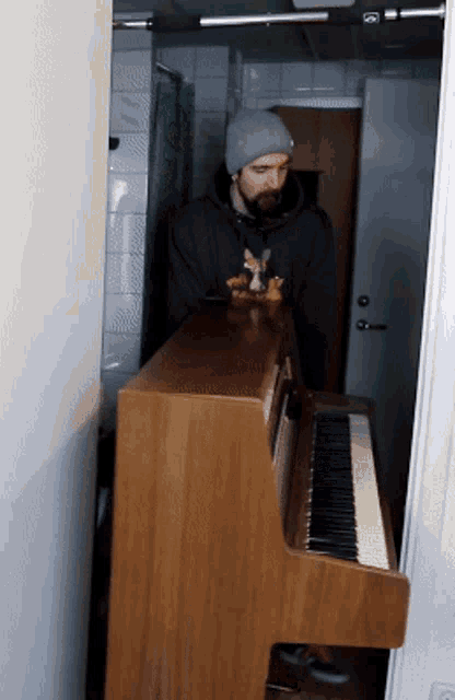 Simon The Magpie Piano GIF - Simon The Magpie Piano Move GIFs