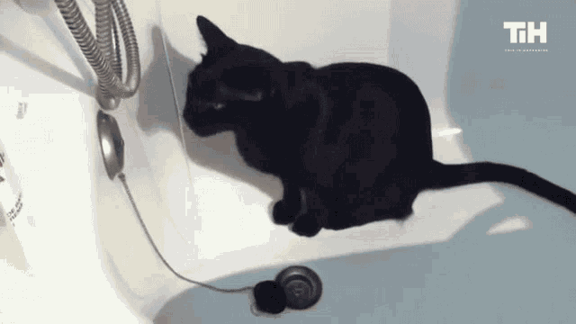 Thirsty Drinking GIF - Thirsty Drinking Sip GIFs