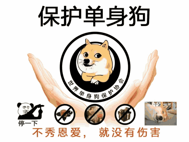 a picture of a doge in a circle with chinese writing around it
