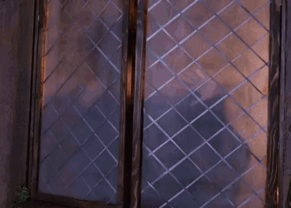 a woman in a green and purple dress is standing in front of a fence .
