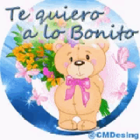 a teddy bear holding a bouquet of flowers with the words te quiero a lo bonito written on it