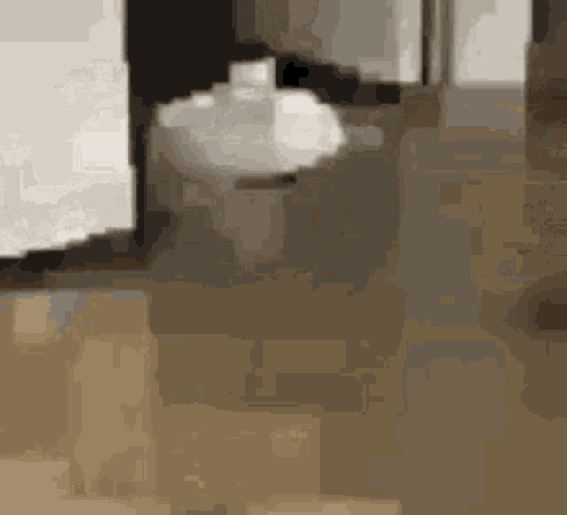 Roomba Cat GIF - Roomba Cat Roombacat GIFs