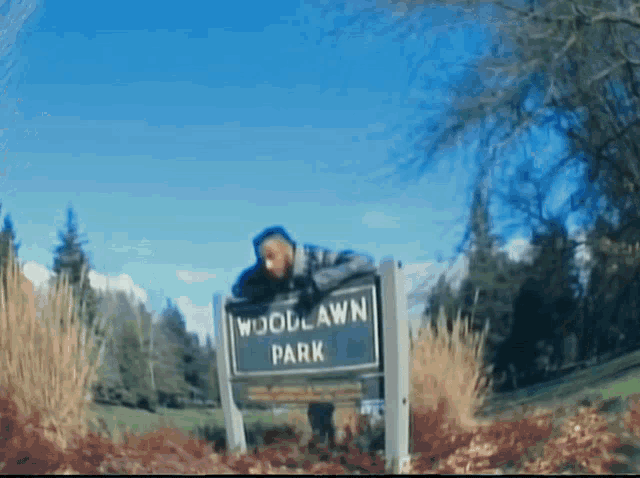 a man leaning over a woodlawn park sign