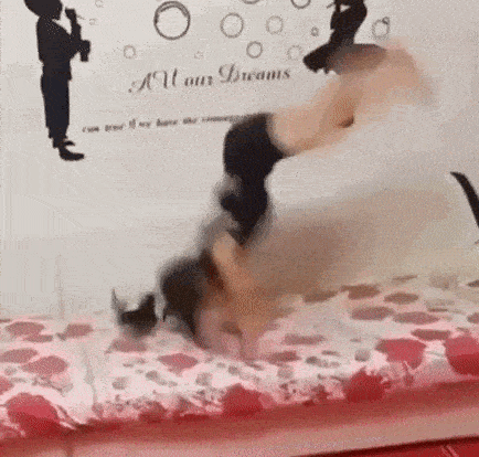 a woman is doing a handstand on top of a bed .