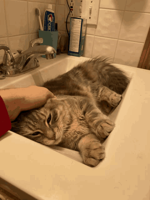a box of crest toothpaste sits on a bathroom counter next to a cat