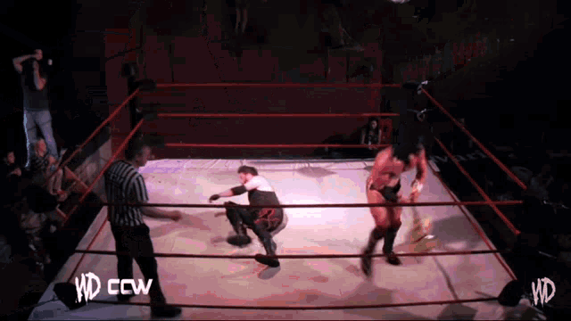 two wrestlers are in a ring with the letters hd on the bottom