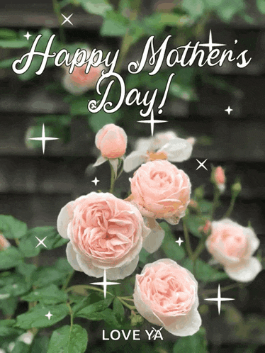 a mother 's day greeting card with pink roses