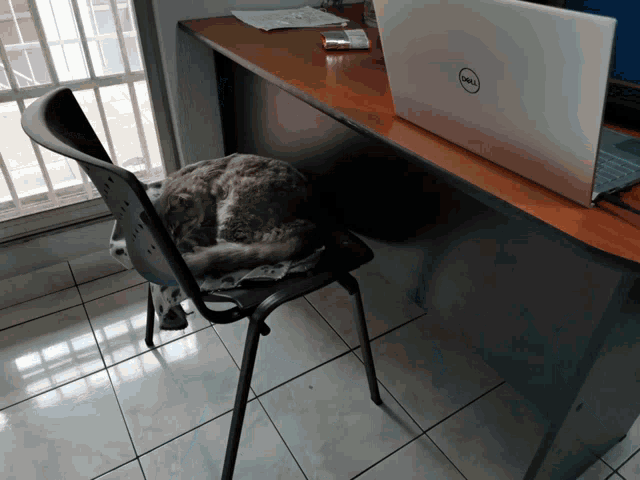 a dell laptop sits on a wooden desk