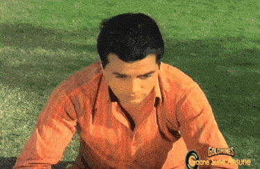 a man in an orange shirt sits in the grass with the words goldmines on the bottom right