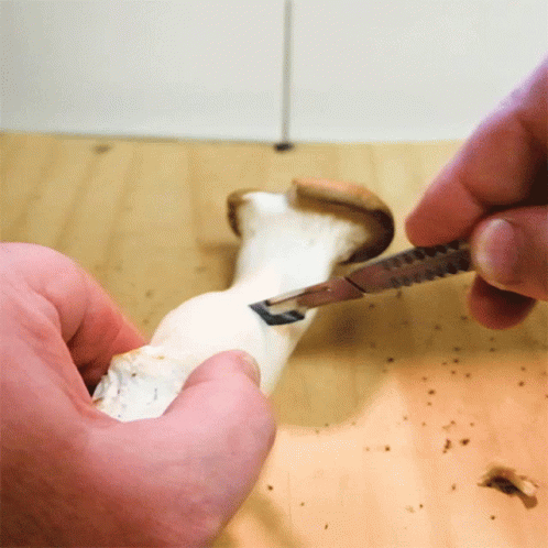 Slicing Mushroom Doubleblind GIF - Slicing Mushroom Doubleblind Cutting Mushroom GIFs