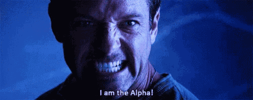 a man with a beard is smiling and saying i am the alpha