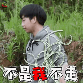 a man in a hoodie is surrounded by plants and says " i 'm not going " in chinese