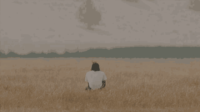 a man sits in a field with the words " where the funk is she " above him