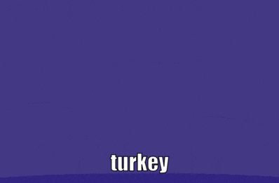 a cartoon character wearing sunglasses and the word turkey