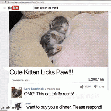 a video of a kitten licking paws is on youtube