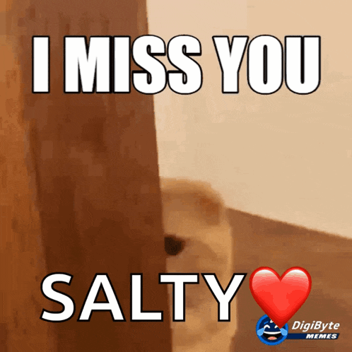 a picture of a dog with the words " i miss you salty "