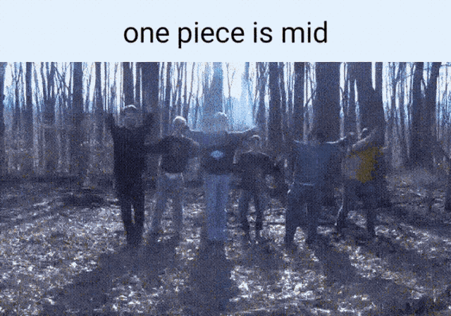 a group of people standing in the woods with the words one piece is mid written above them