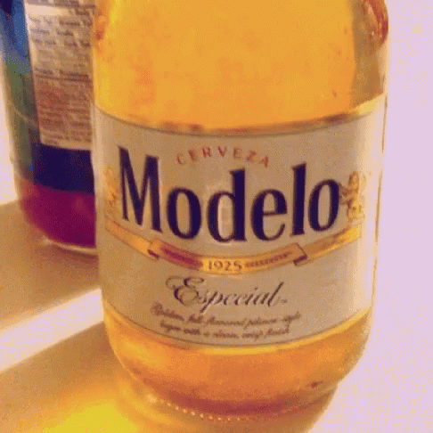 Modelo Beer GIF - Modelo Beer GIFs
