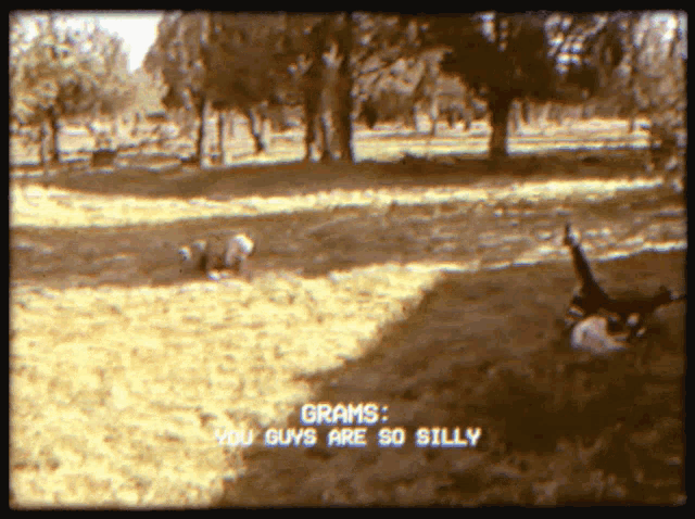 a tv screen shows a dog in a field with the words grams you guys are so silly at the bottom