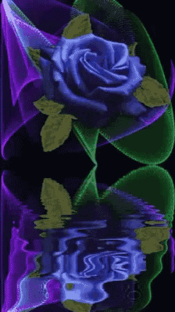a purple rose is reflected in the water with green leaves