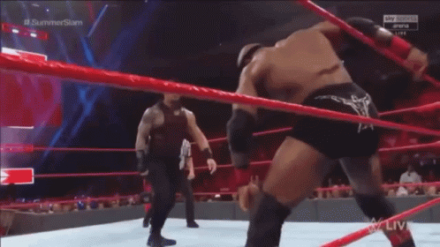 Roman Reigns Clothesline GIF - Roman Reigns Clothesline Angry GIFs