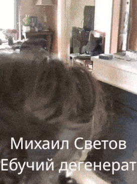 a person 's head is shown in front of a living room with the name mikhail svetov written in white letters
