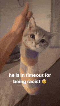 a person is holding a kitten in a striped sock with the caption he is in timeout for being racist
