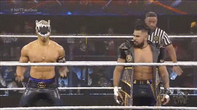 Entrance Pose Best Duo GIF - Entrance Pose Best Duo Wrestling GIFs