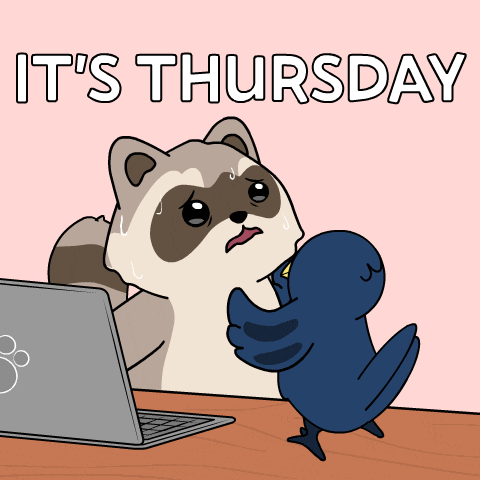 a cartoon of a raccoon and a bird with the words it 's thursday on the bottom